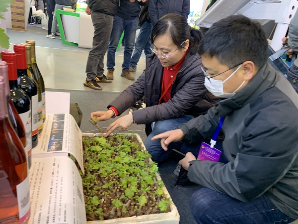我所科技人员参加2023年中国天津种业振兴大会